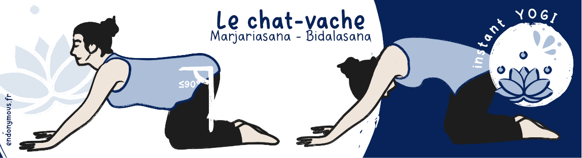 Bidalasana, Marjariasana, posture du chat-vache, yoga, endobujo, endométriose, règles